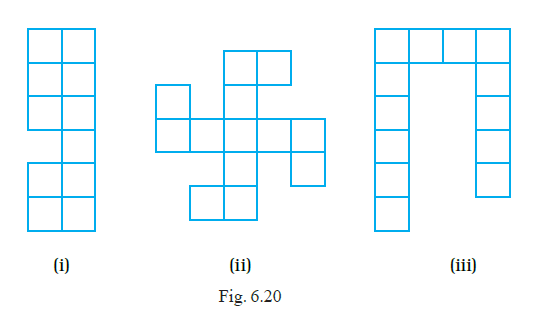 Page 101 Chapter 6 Class 6th NCERT Exemplar